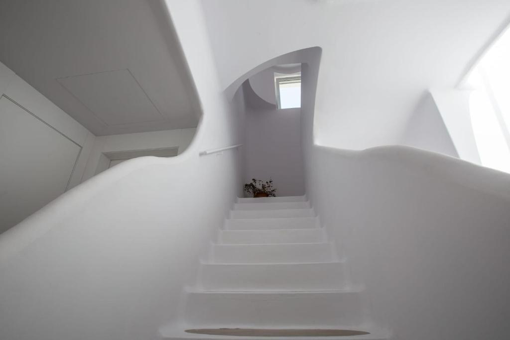 Fotografie n° 33/45