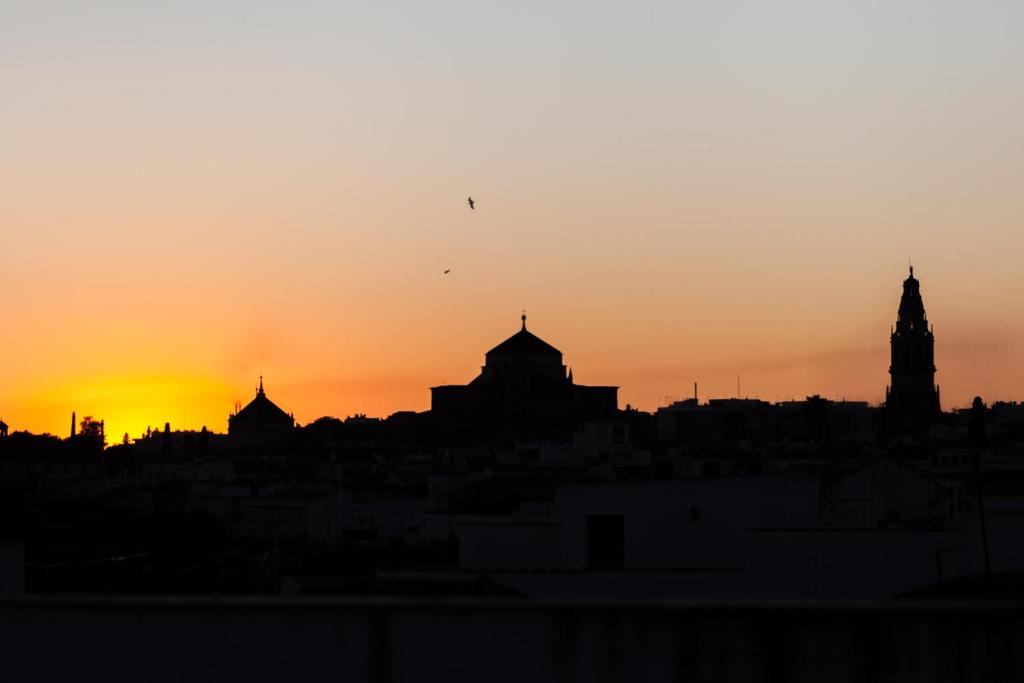 Fotografie n° 20/45