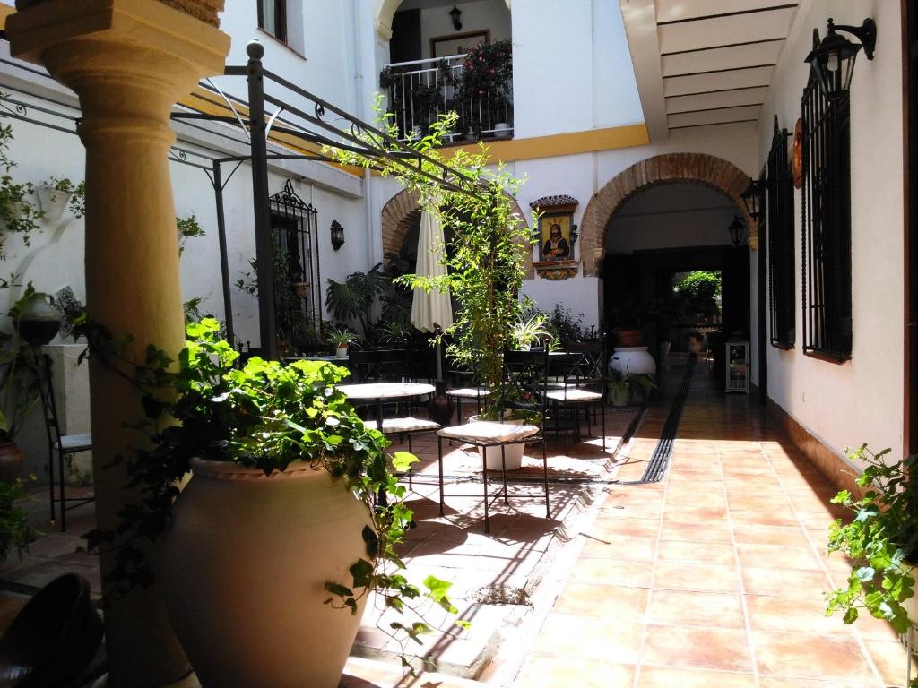 A typical Andalusian house of the XIX century, just renewed, that combines the enchantment of the old days with today´s facilities.