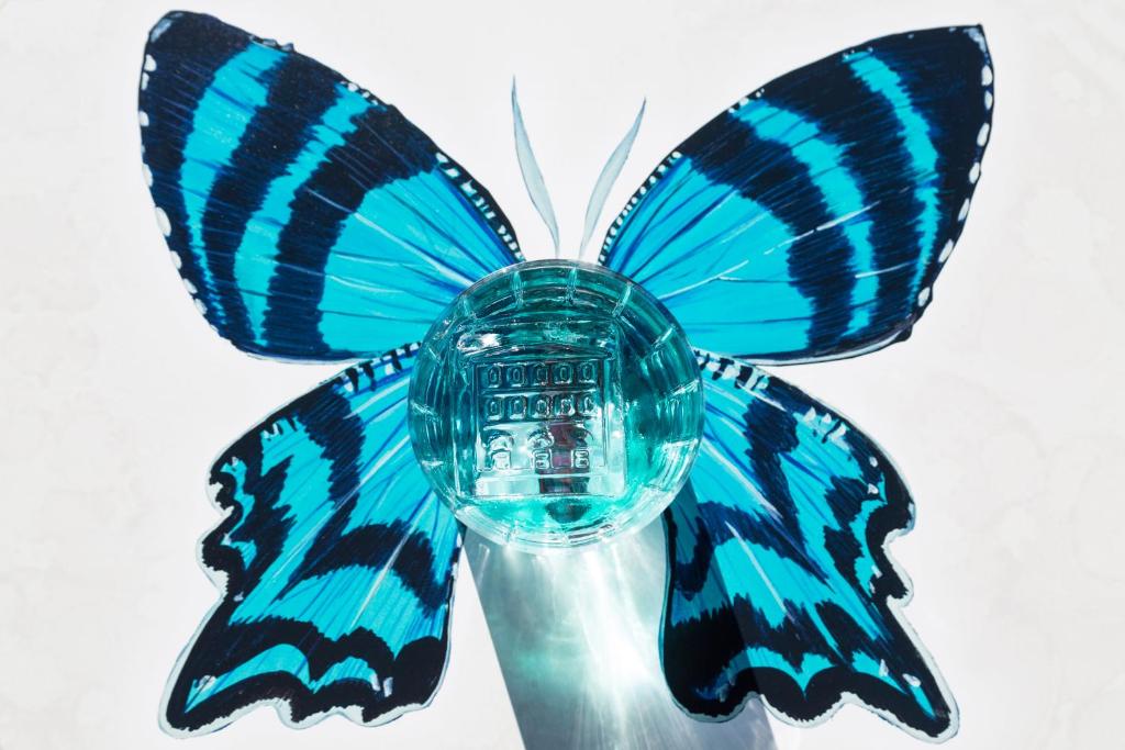 Fotografie n° 45/45