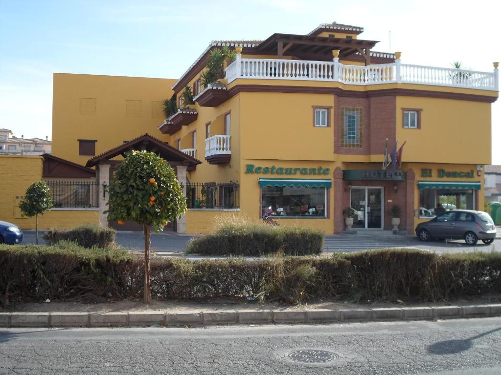Located just off the A-92 Motorway, El Doncel is in Atarfe, 15 minutes’ drive from central Granada.
