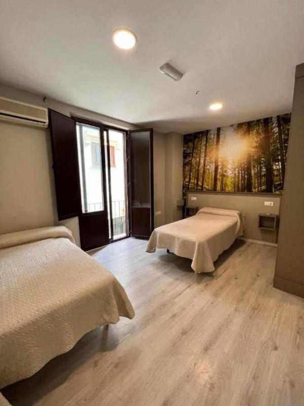 Hostal Viena Plaza Nueva is conveniently situated in the centre of Granada, and provides a terrace and free WiFi. This 2-star hotel offers room service.