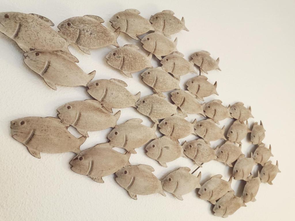 Fotografia n° 13/45