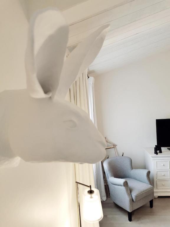 Fotografia n° 24/45