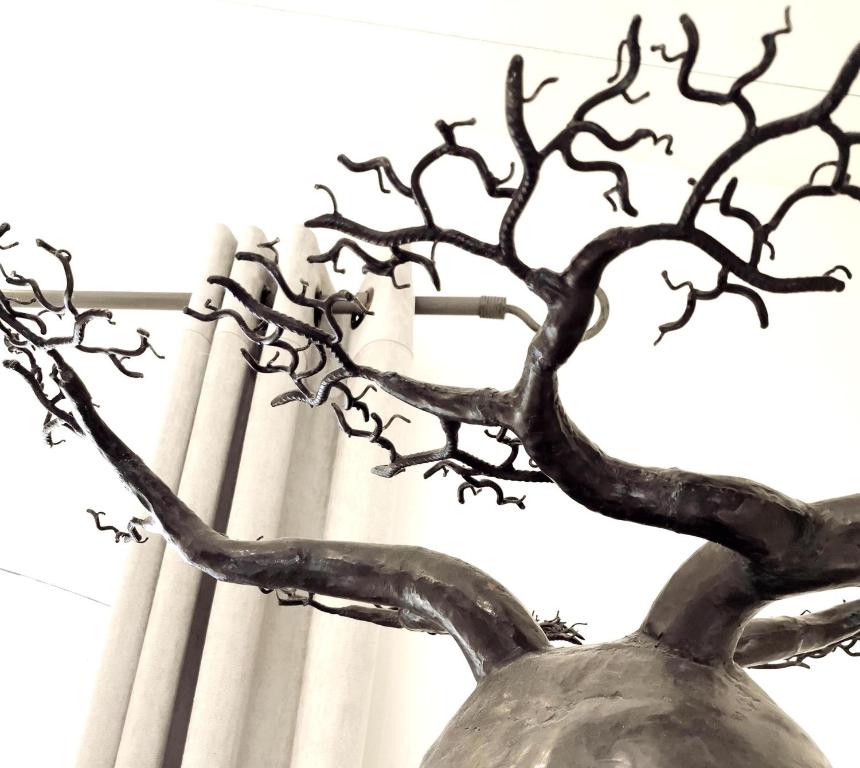 Fotografia n° 27/45