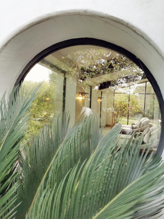 Fotografia n° 32/45