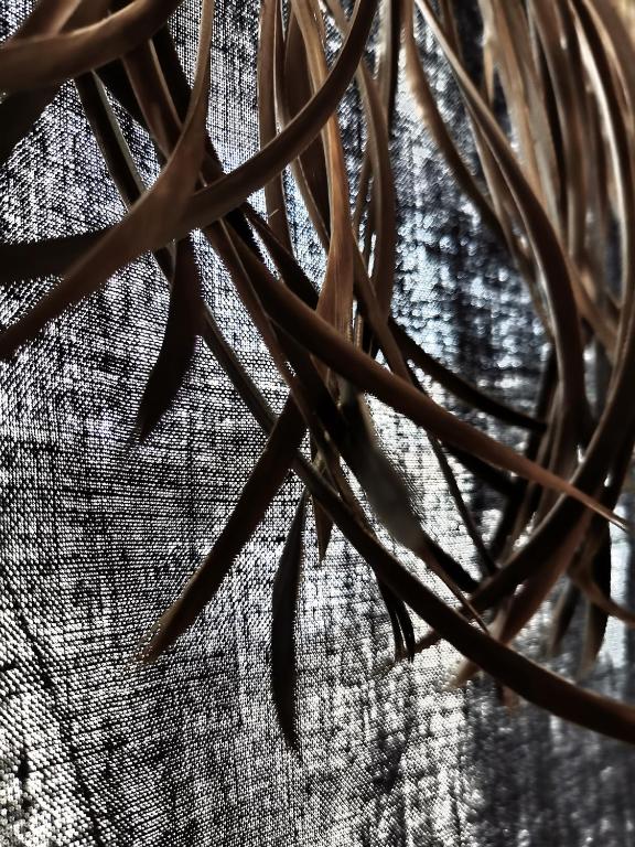 Fotografia n° 34/45