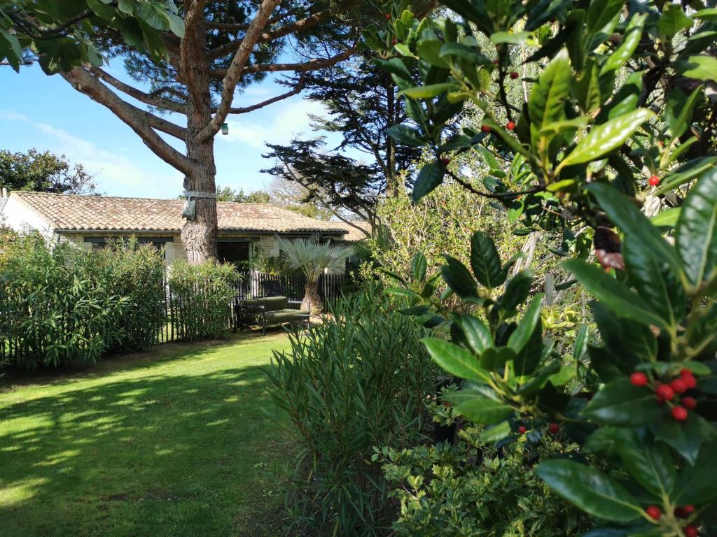 Fotografia n° 40/45