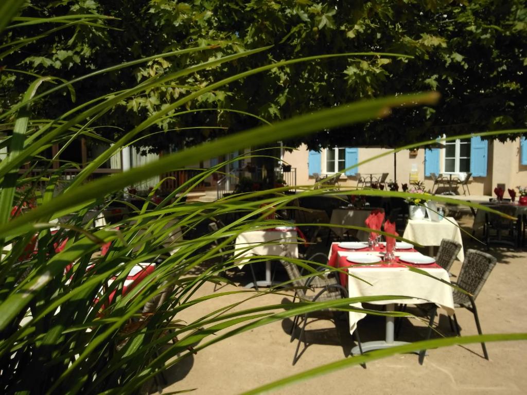 Fotografie n° 43/45