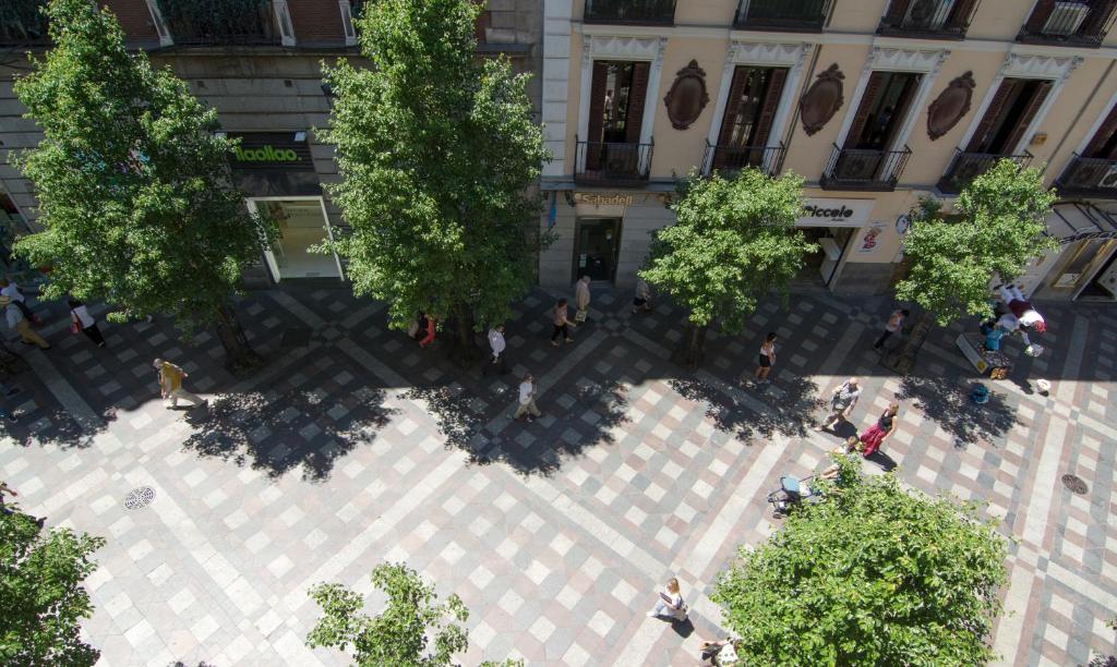 Fotografie n° 37/39