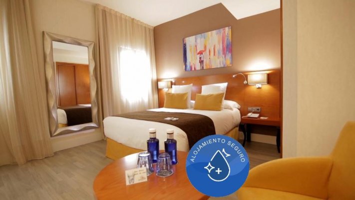 Hotel Puerta de Toledo, Madrid