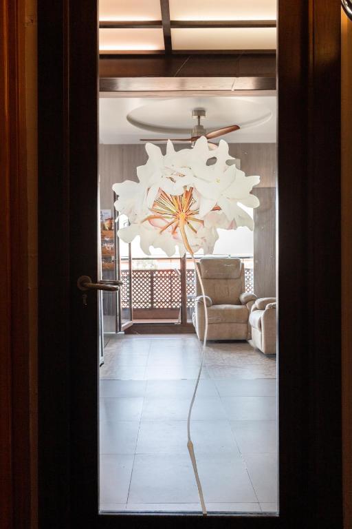 Fotografie n° 25/45