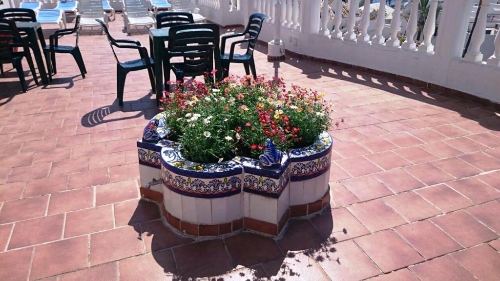 Fotografie n° 23/45