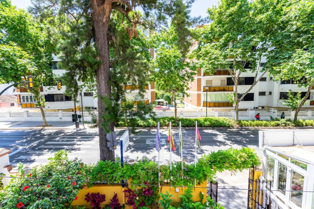 Fotografie n° 10/45