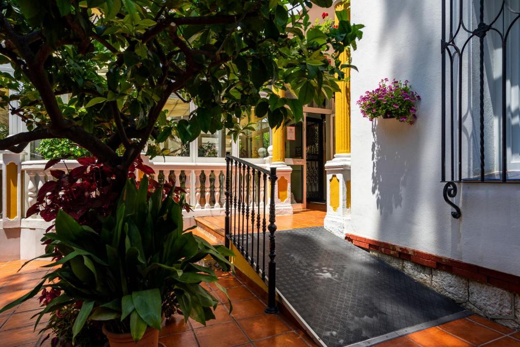 Fotografie n° 36/45