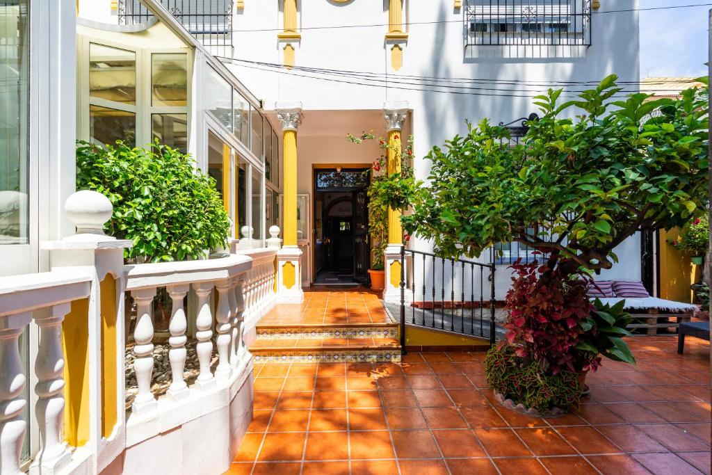 Fotografie n° 38/45