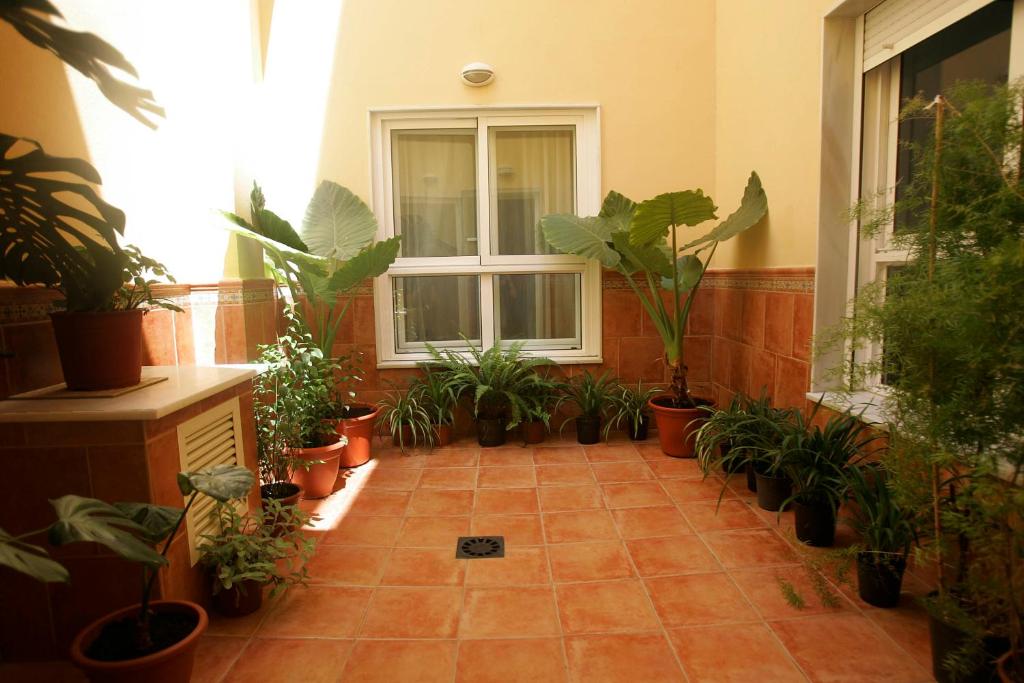 Fotografie n° 40/45