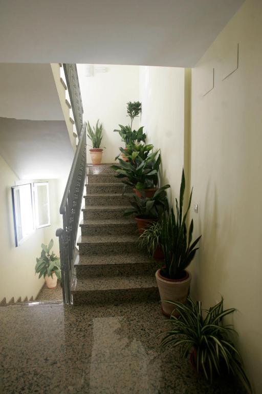 Fotografie n° 41/45