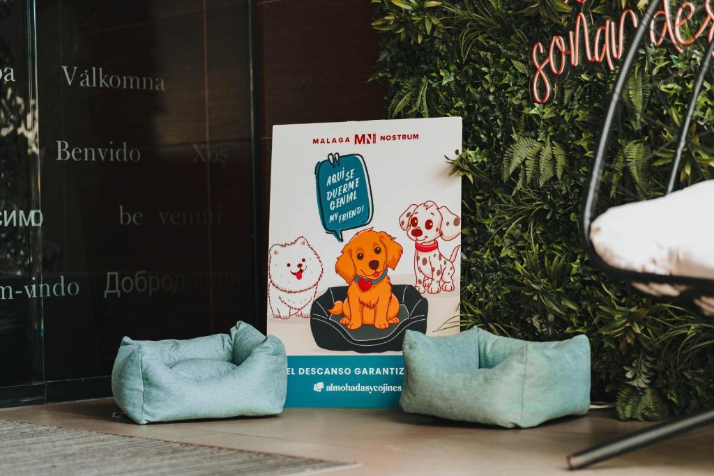 Fotografie n° 23/45