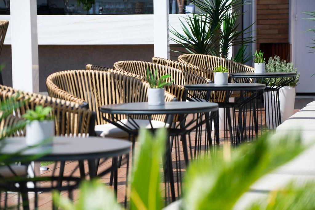 Fotografie n° 39/45