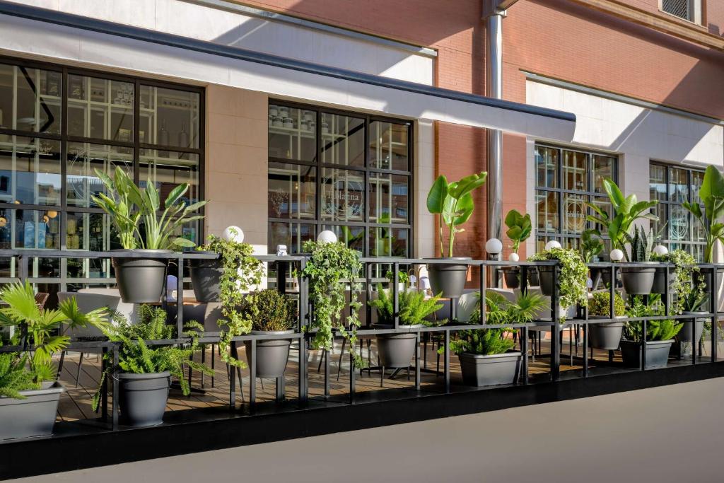 Fotografie n° 44/45