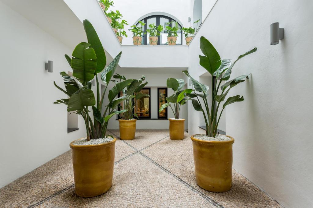 Fotografie n° 33/38