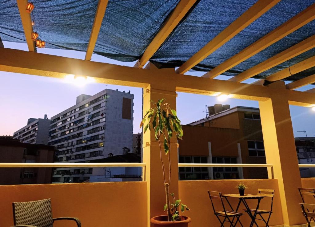 Fotografie n° 14/14