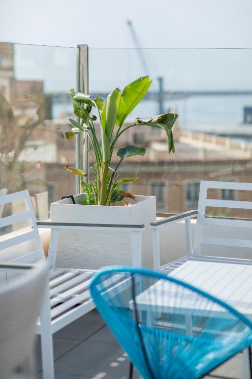 Fotografie n° 20/45