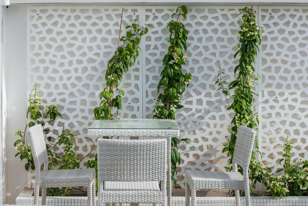 Fotografie n° 42/45