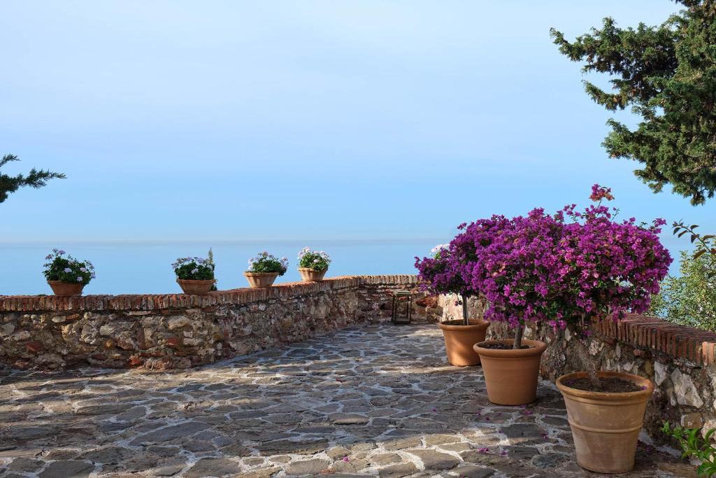 Fotografie n° 11/45