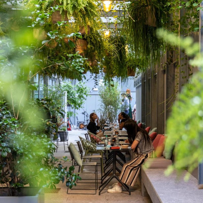 Situata a Milano, la 21 House of Stories Città Studi offre un ristorante, un bar e un centro fitness, la connessione WiFi...