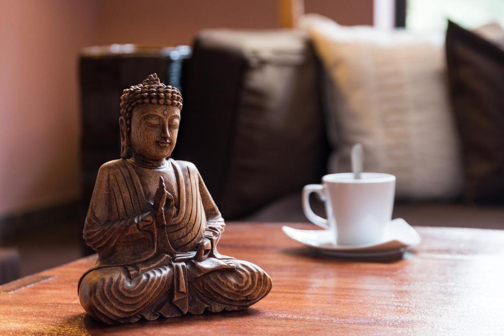 Fotografie n° 32/45