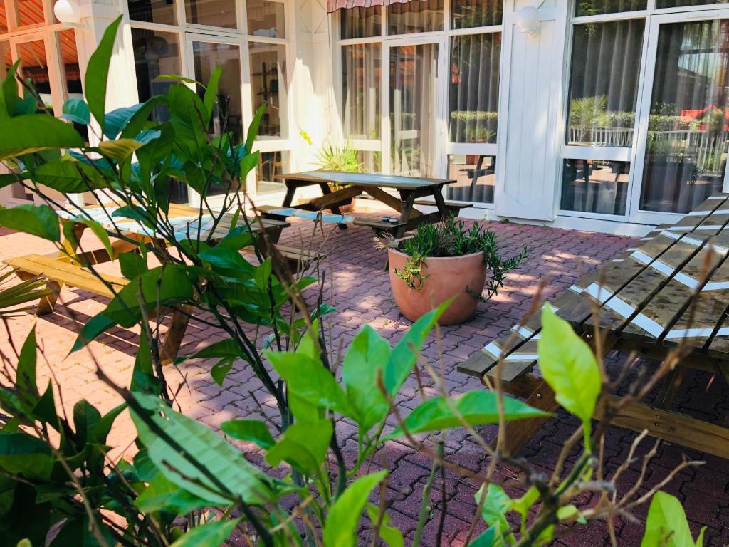 Fotografia n° 43/45