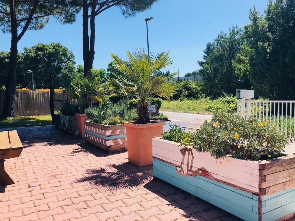 Fotografia n° 44/45