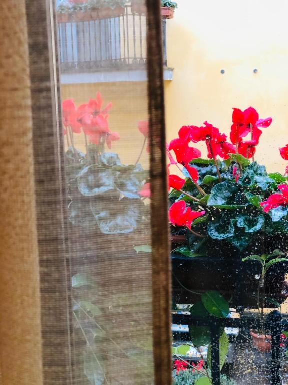 Fotografia n° 37/45