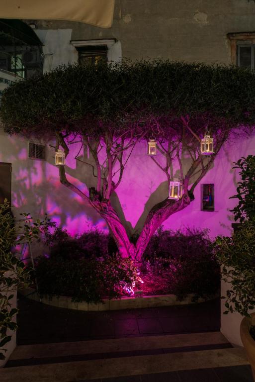 Fotografia n° 14/45