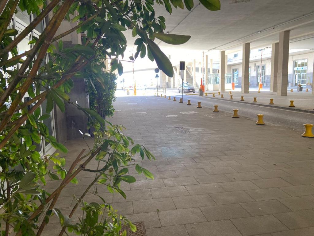 Fotografia n° 28/45