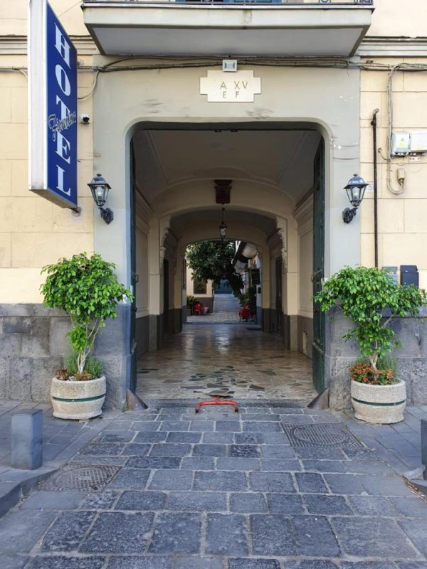 Dotato di connessione WiFi gratuita in tutta la struttura, l'Hotel Fiorentina dista 3,7 km dall'Osservatorio Astronomico di Capodimonte. Potrete gustare il bar in loco.
