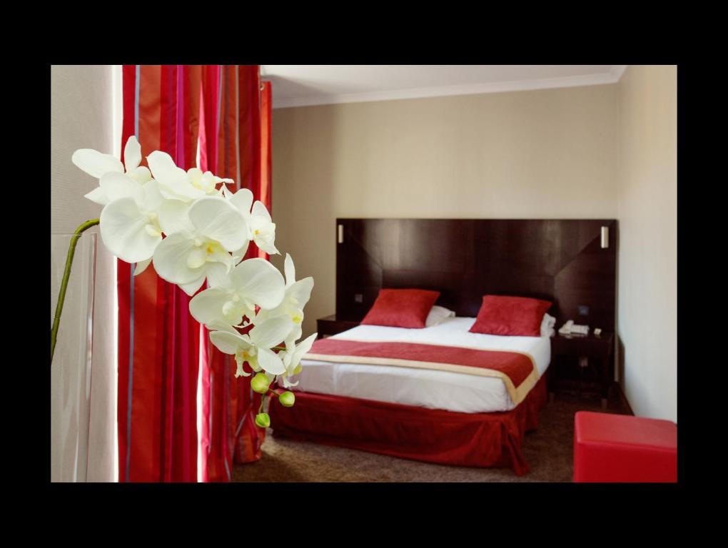 Fotografia n° 29/41