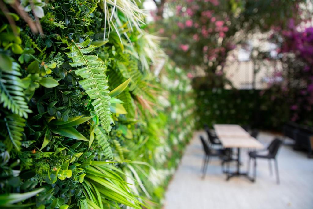 Fotografie n° 25/45