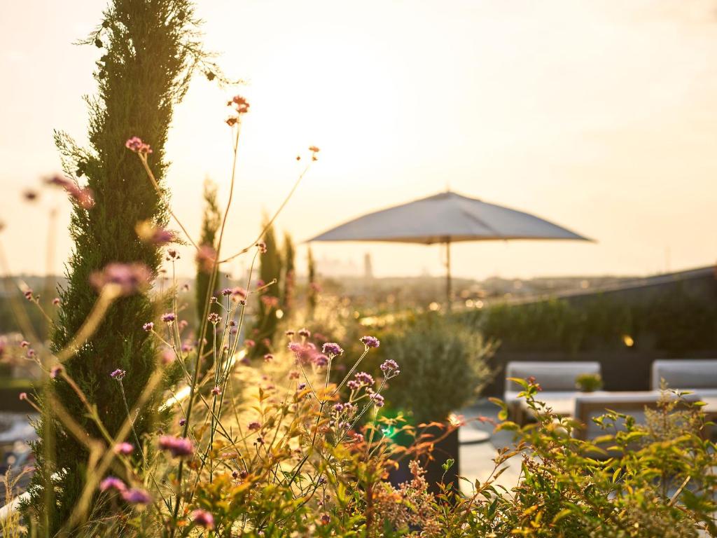 Fotografie n° 27/45