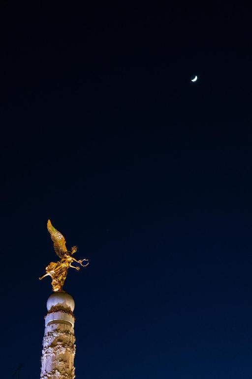 Foto n°  36/43