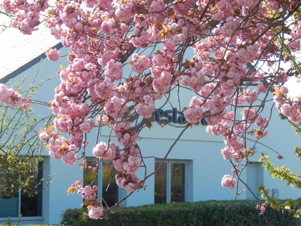 Foto n°  16/18