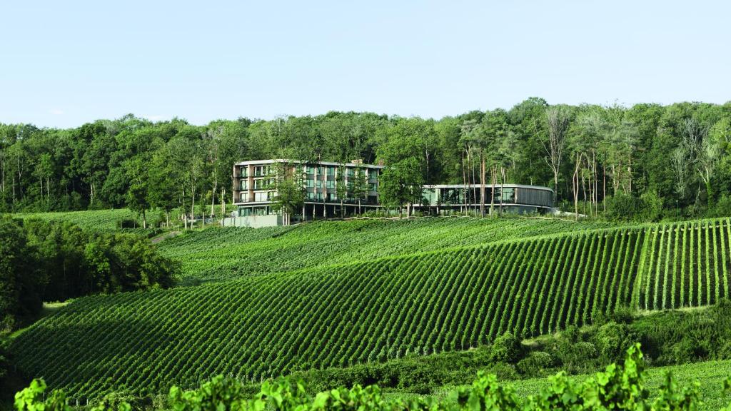 Situado en Mutigny, a 6,8 km de la estación de tren de Epernay, LOISIUM El Wine & Spa Hotel Champagne ofrece alojamiento con piscina al aire libre,...