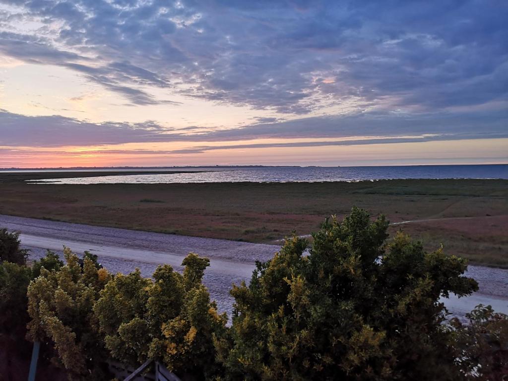 Fotografia n° 26/35