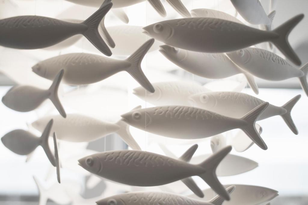 Fotografia n° 20/45