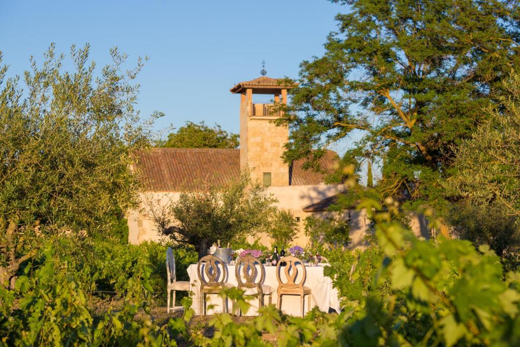 Fotografie n° 41/45