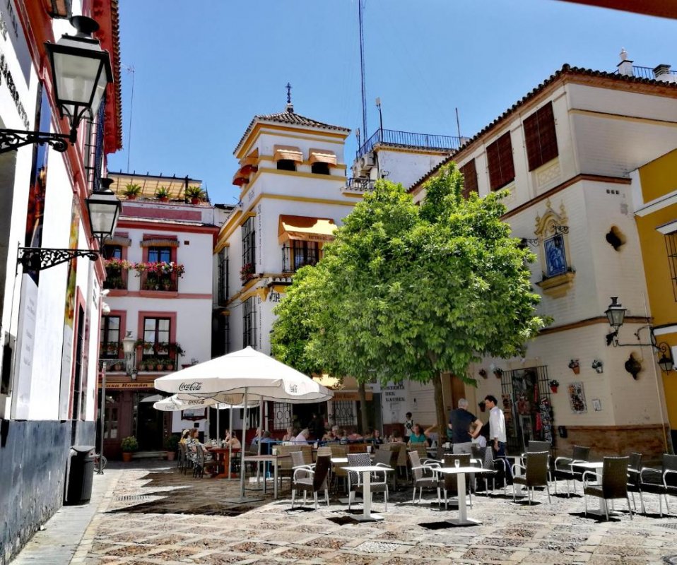 Ospitato in un impressionante edificio storico nel cuore del rinomato quartiere di Santa Cruz di Siviglia, questo è l'hotel ideale da cui...
