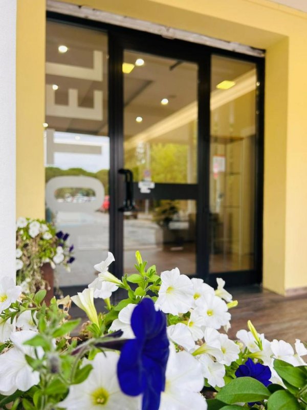 Situé à 300 mètres des rives du lac de Garde à Peschiera del Garda, l'Hotel Benaco propose des chambres avec salle de bains privative et une terrasse.