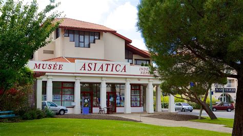 Museo Asiatica